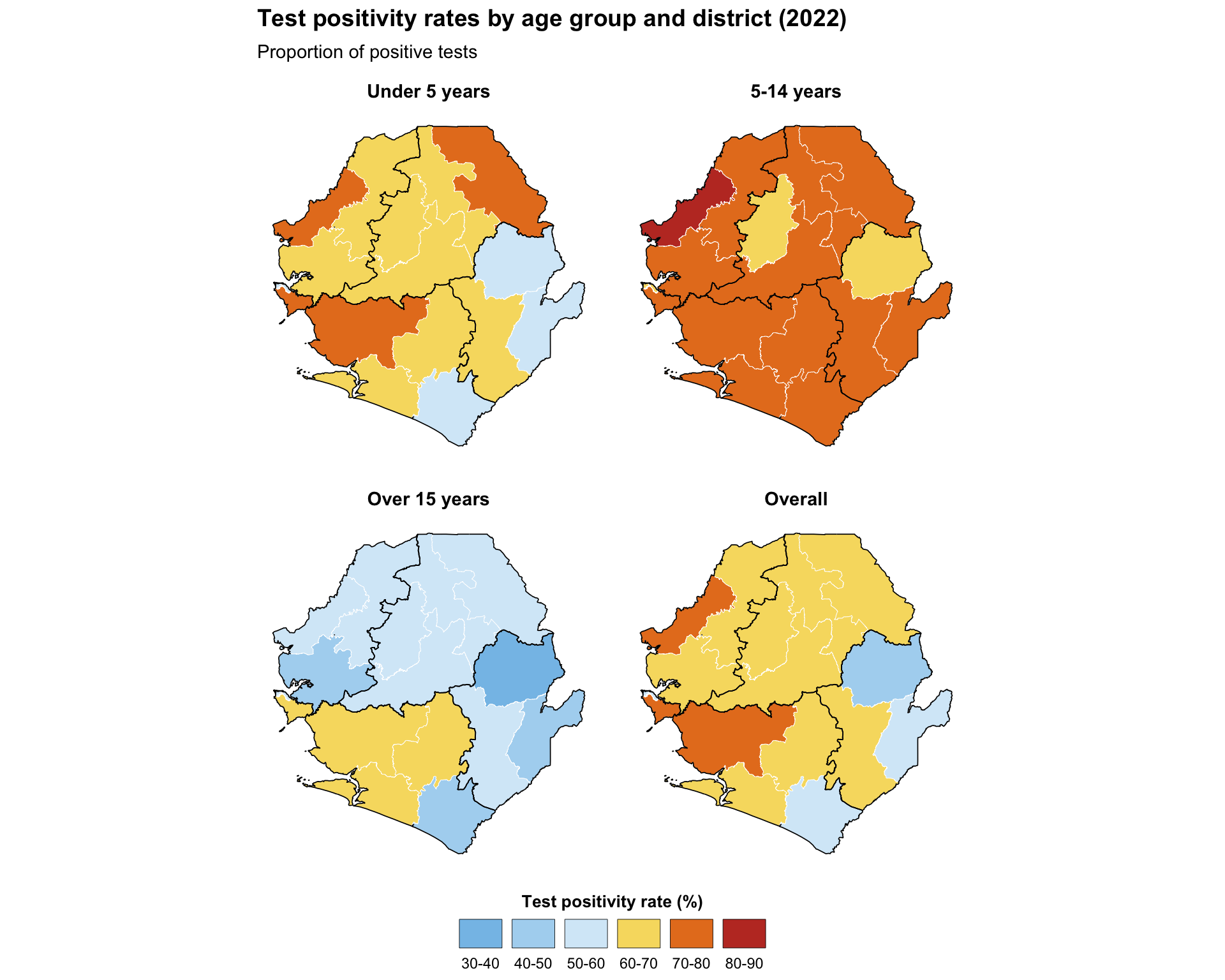 Basic shapefile use and visualization